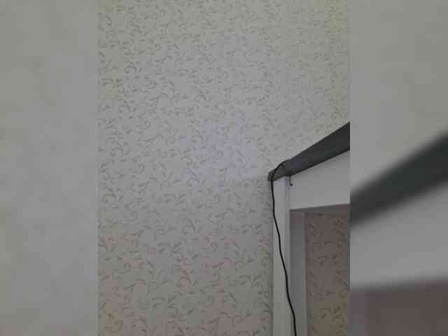 DOMINA_XS webcam