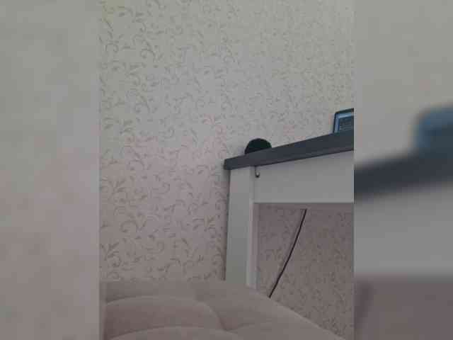 DOMINA_XS webcam