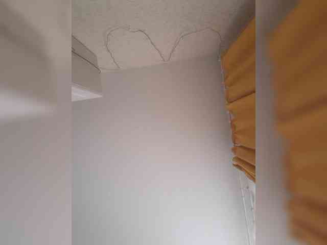 DOMINA_XS webcam