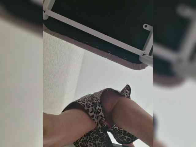 DOMINA_XS webcam