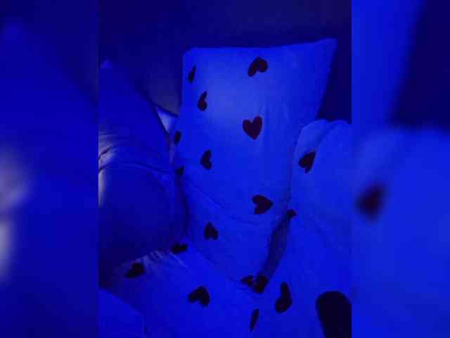 DOMINA_XS webcam