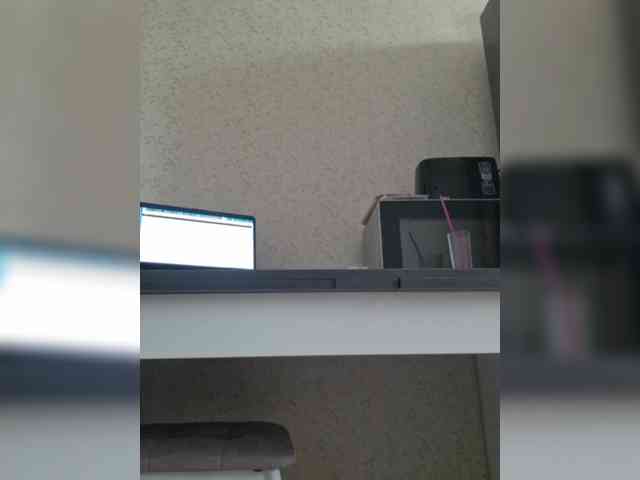 LELIKKISS webcam