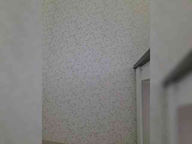 DOMINA_XS webcam