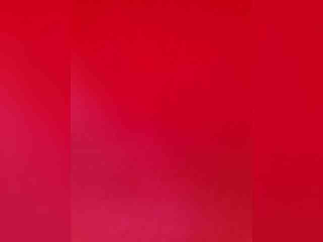 DOMINA_XS webcam