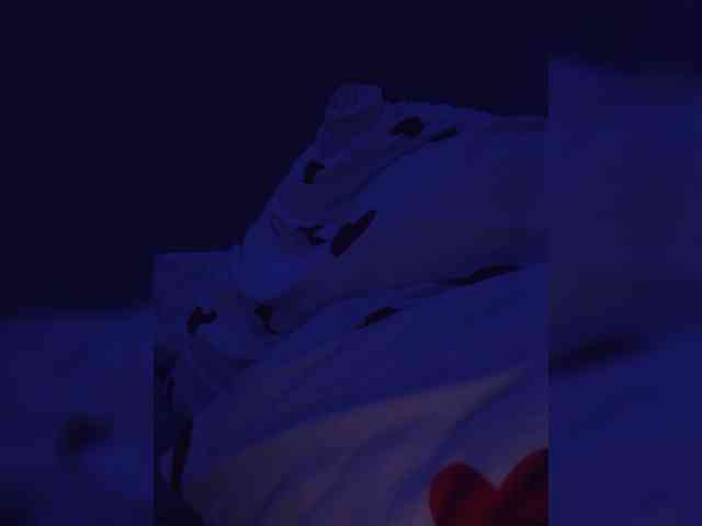 LELIKKISS webcam
