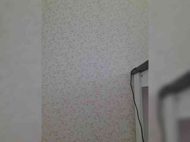 DOMINA_XS webcam