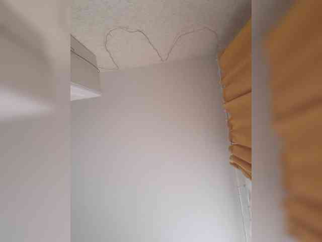 DOMINA_XS webcam