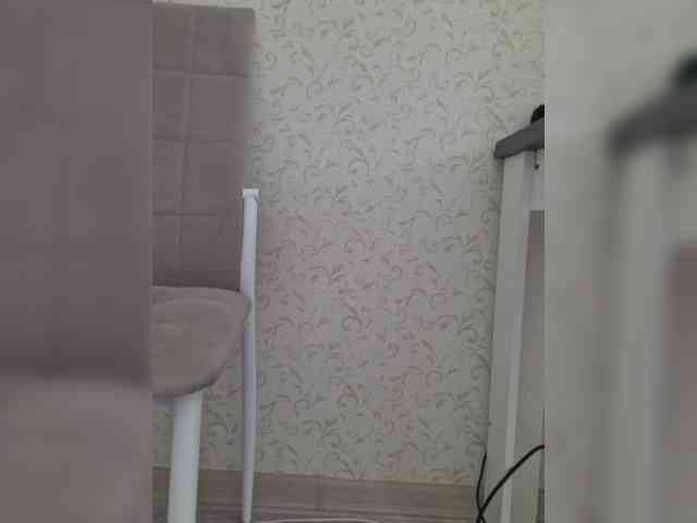 DOMINA_XS webcam