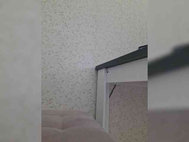 DOMINA_XS webcam