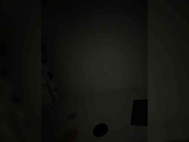 ReveMignoneX ReveMignoneX