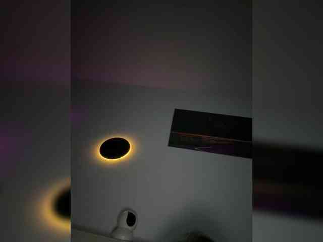 ReveMignoneX ReveMignoneX