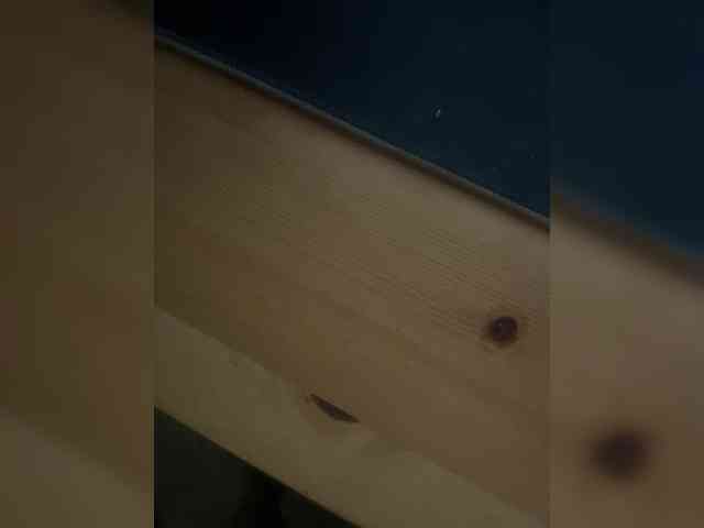 DanilAstronaut DanilAstronaut