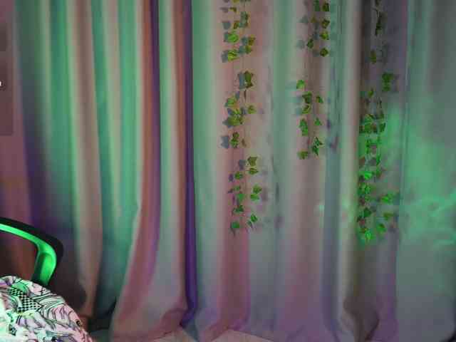_SitCom_ webcam