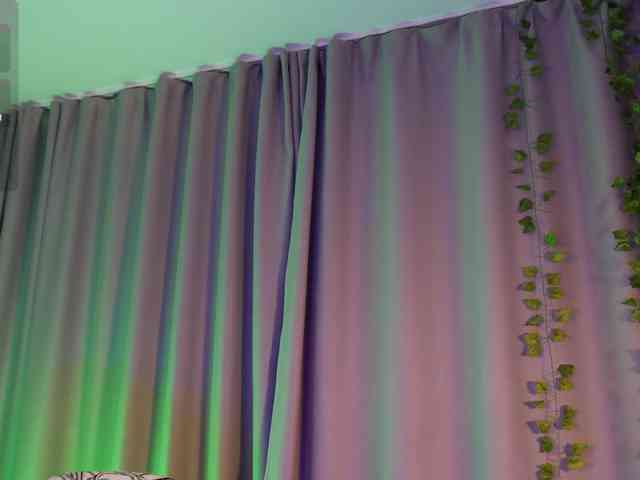 _SitCom_ webcam
