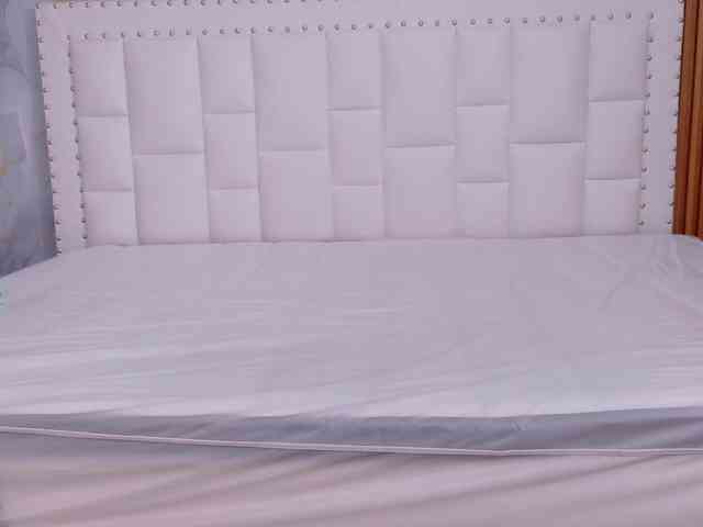 naughtyebonyy webcam