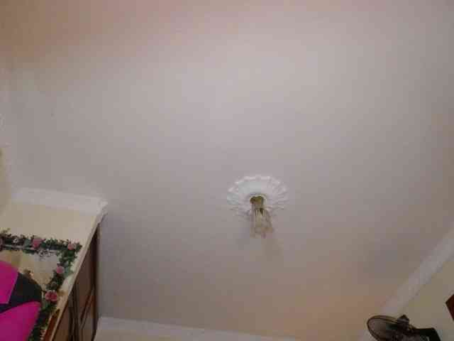 danielle-rose webcam