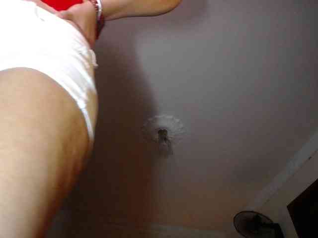 danielle-rose webcam