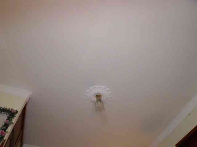 danielle-rose webcam