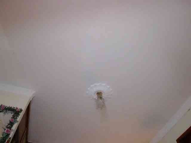 danielle-rose webcam