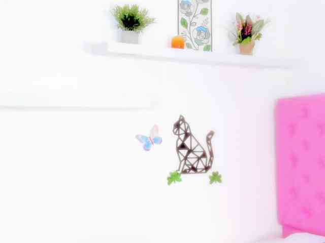 barbarahills21 webcam