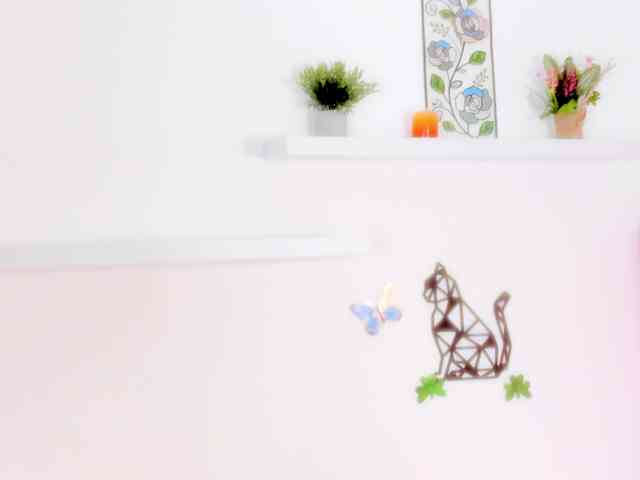 barbarahills21 barbarahills21