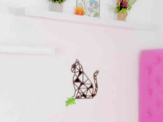 barbarahills21 webcam