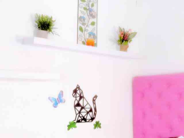 barbarahills21 webcam