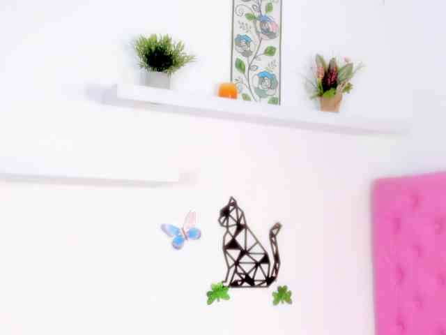 barbarahills21 barbarahills21