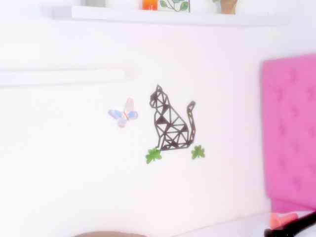 barbarahills21 barbarahills21