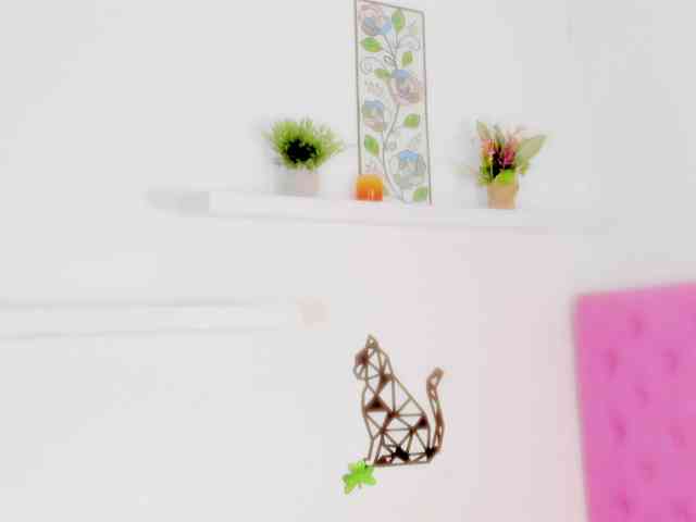 barbarahills21 webcam