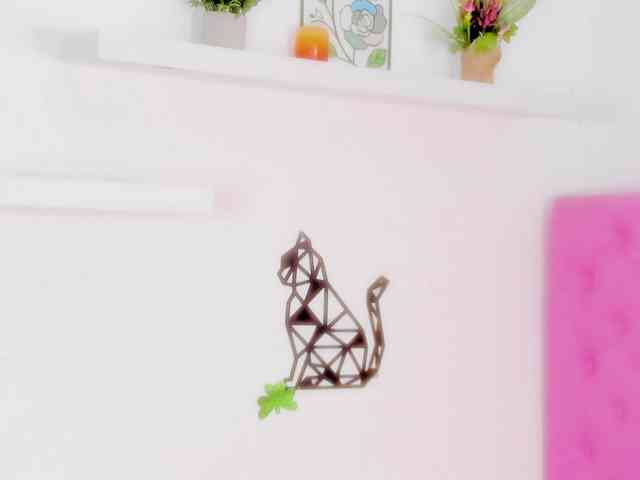 barbarahills21 webcam