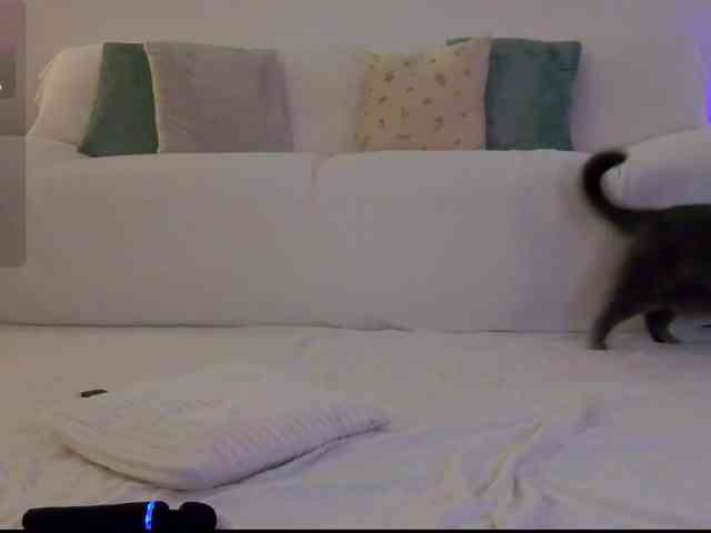 LilyRoselyn webcam