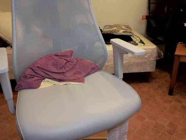 WoodyLongbone WoodyLongbone