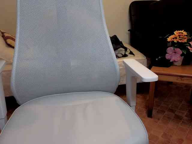 WoodyLongbone WoodyLongbone