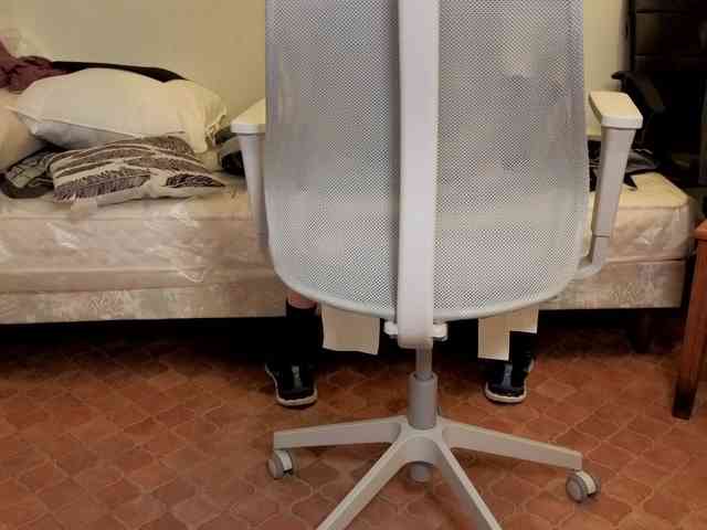 WoodyLongbone WoodyLongbone