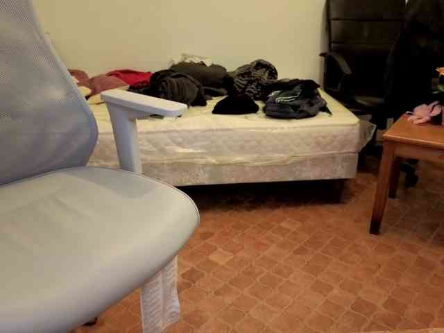 WoodyLongbone WoodyLongbone