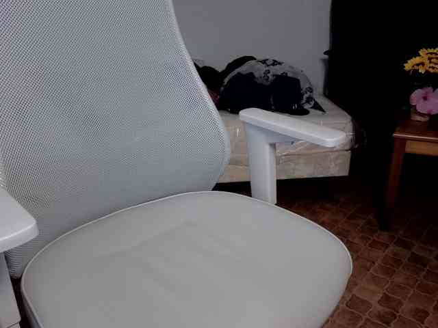 WoodyLongbone WoodyLongbone