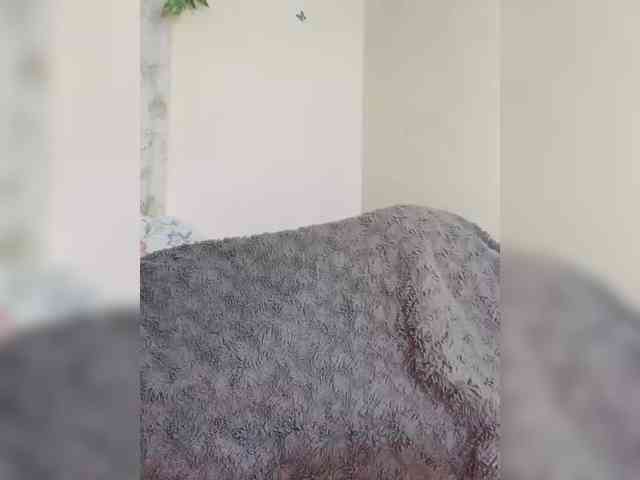 Rannyl webcam