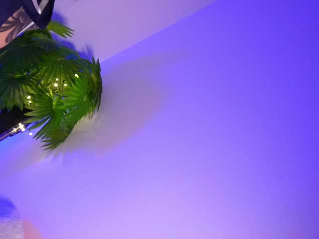 Preview of anawinnss