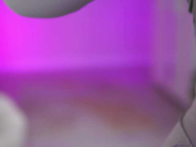 EvaZane's BongaCams show and profile