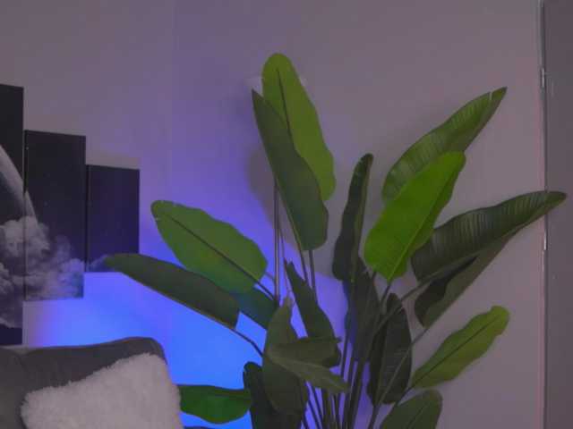  EvaZane chat room