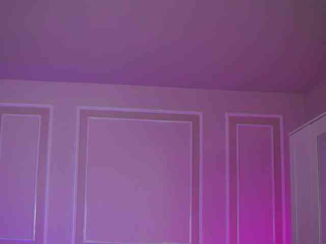 EvaZane webcam