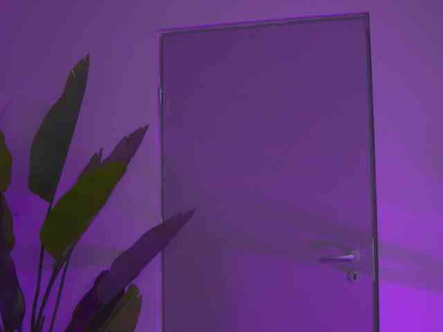 EvaZane webcam