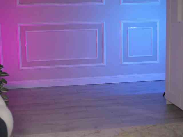 EvaZane webcam