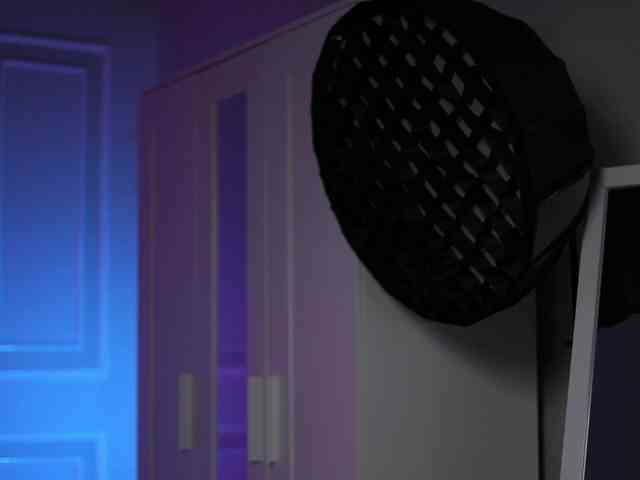 EvaZane webcam