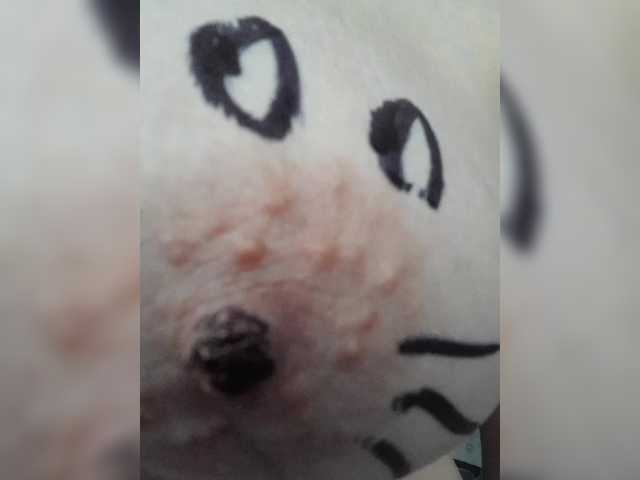 mery8poppins's BongaCams show and profile