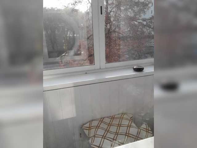mery8poppins