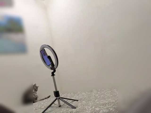 mery8poppins's BongaCams show and profile