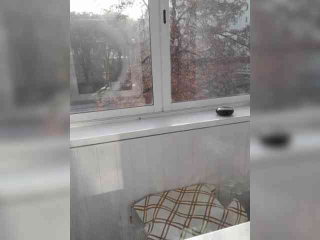 mery8poppins webcam
