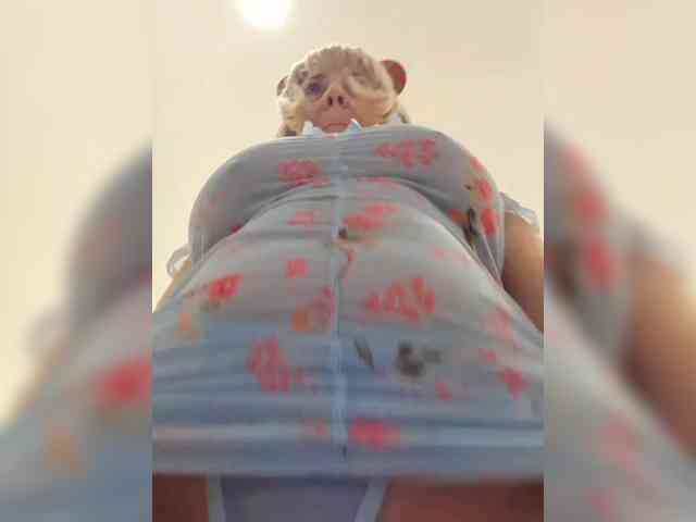 mery8poppins mery8poppins